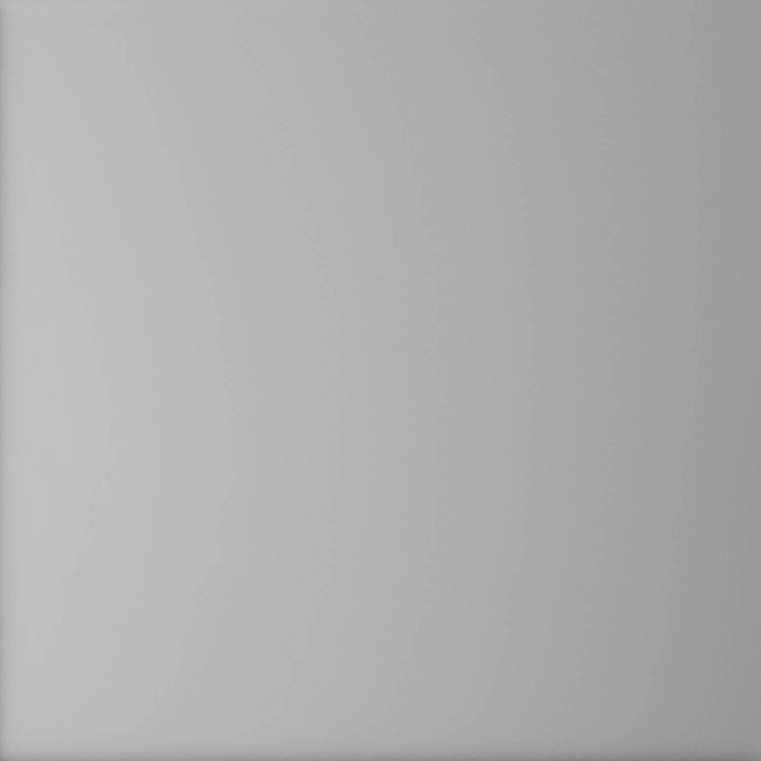 etched glass for steel glazed internal doors