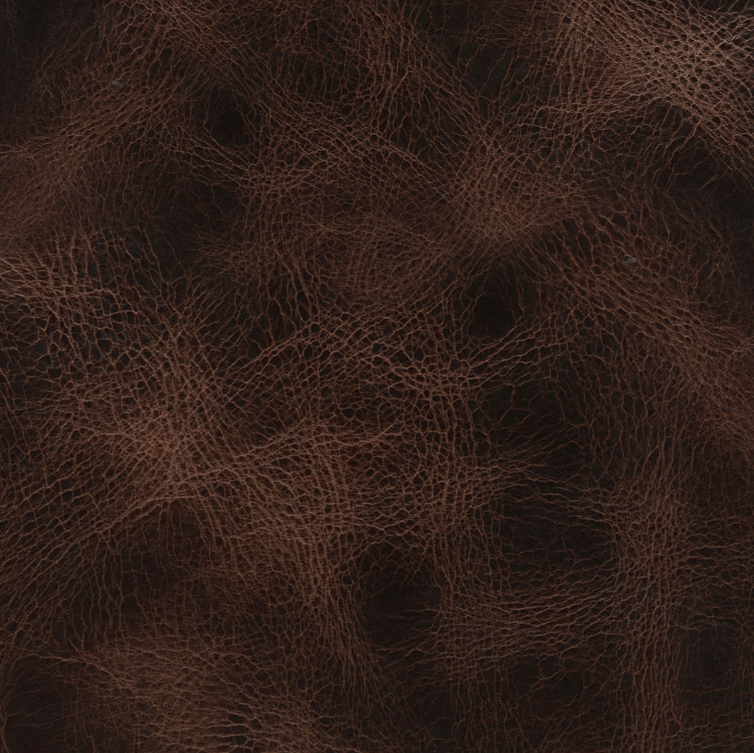 Pampas Moro leather for interior walls and doors