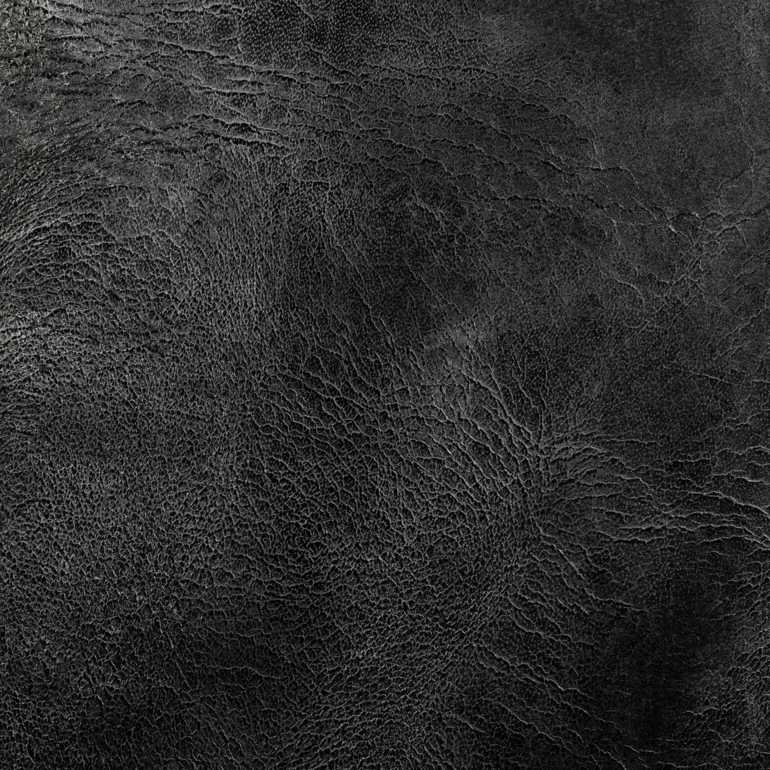 Pampas Silver Black - leather for high-end interiors