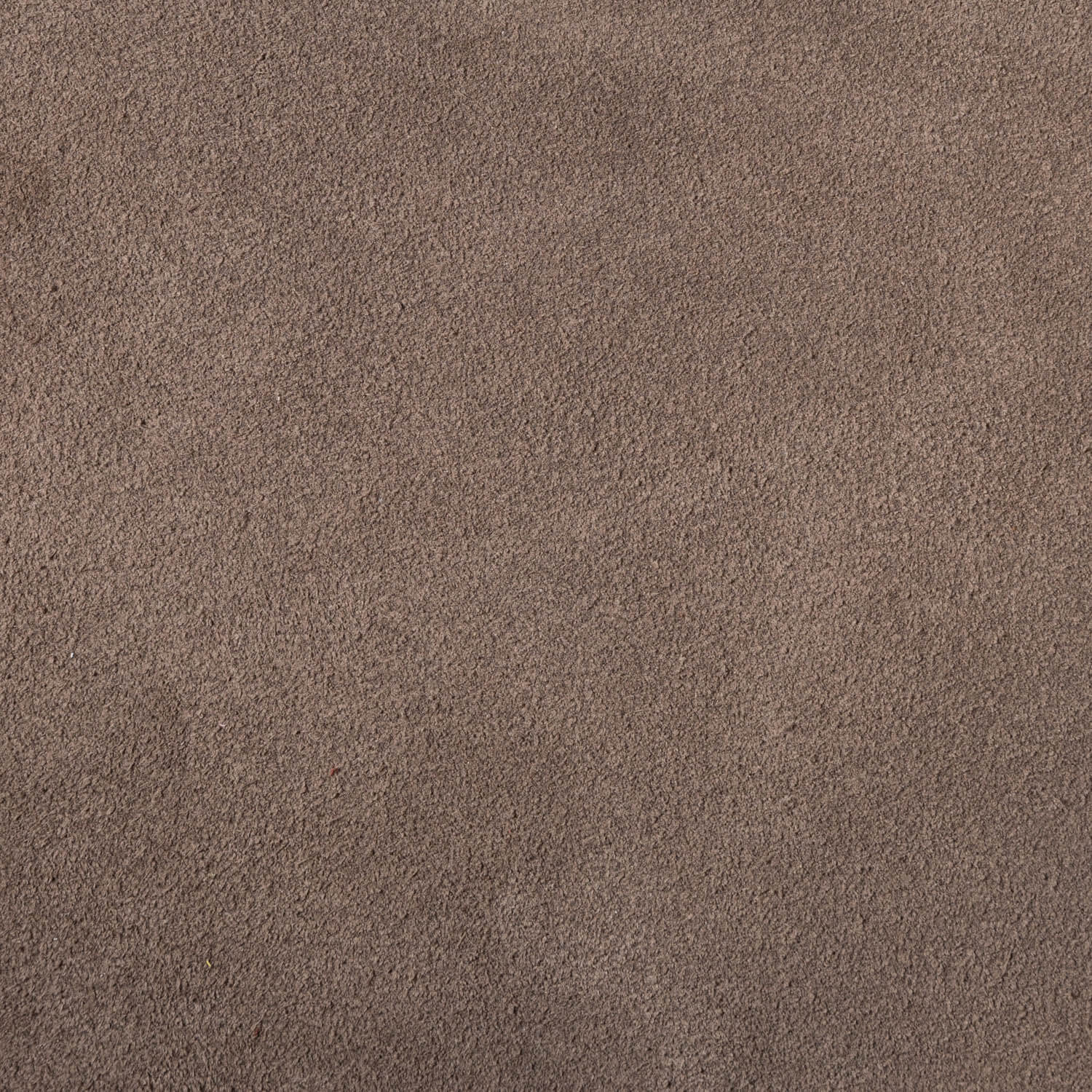 Suede Almond - luxury leather for internal doors screens and cabinets