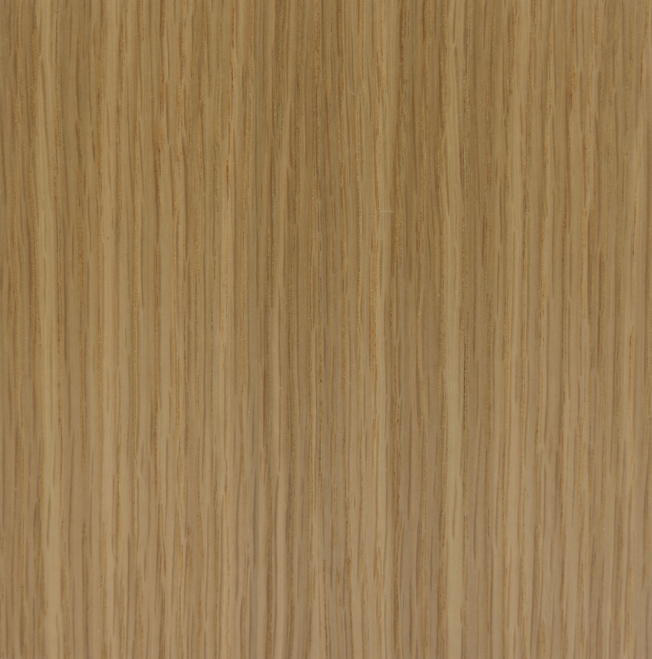 Quarter Cut American White Oak veneer